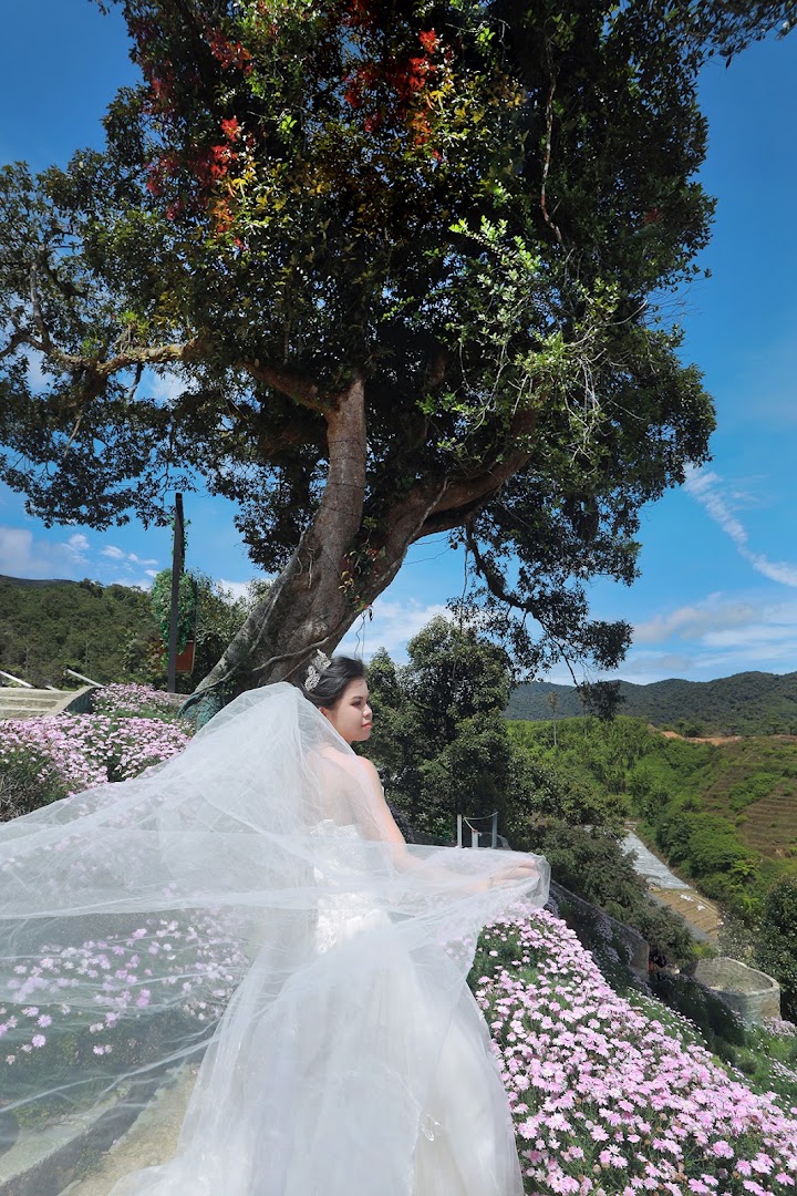 Bonny Wedding Studio gallery photo