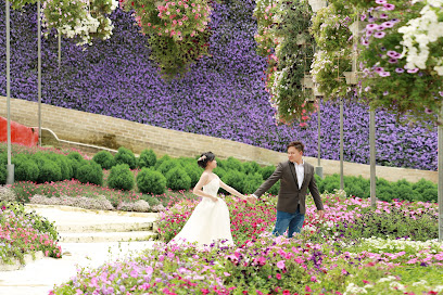 Bonny Wedding Studio, Wedding Photographer in Northern