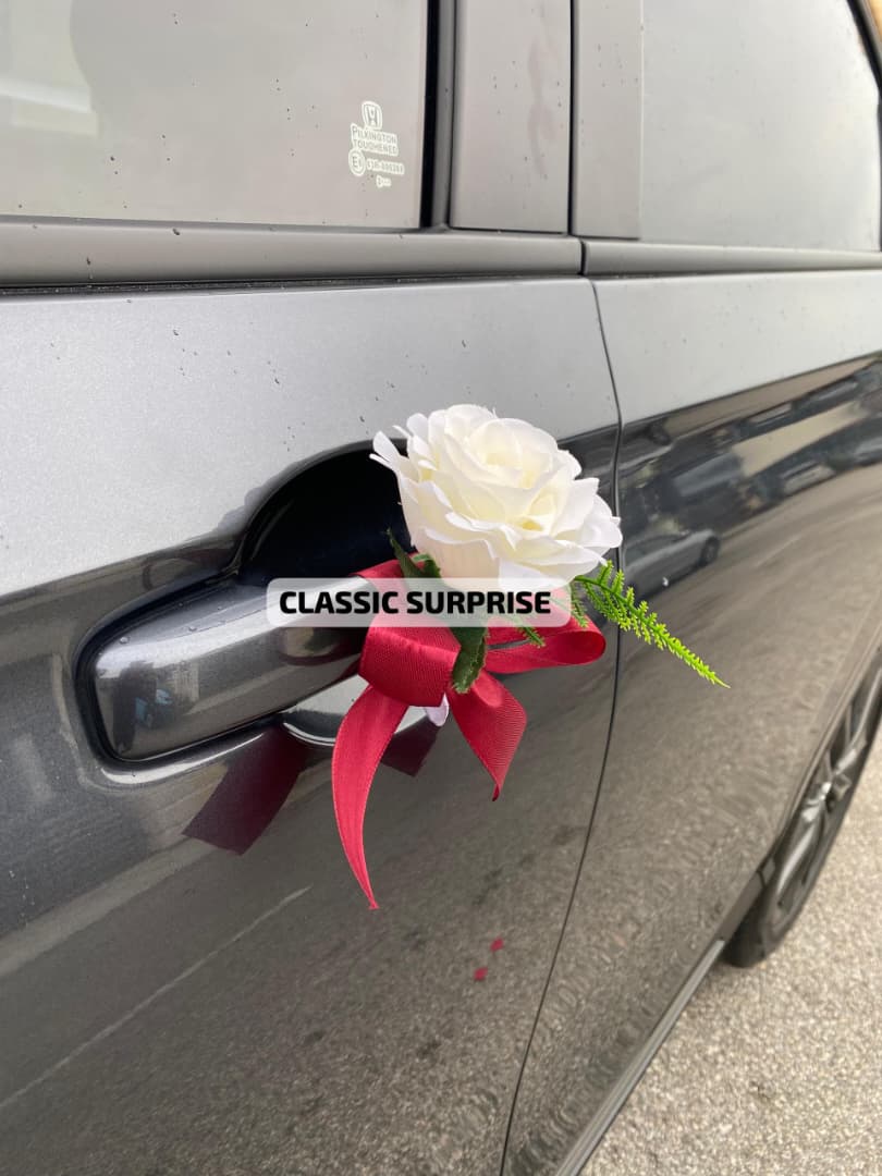 CLASSIC SURPRISE & DECO JB gallery photo
