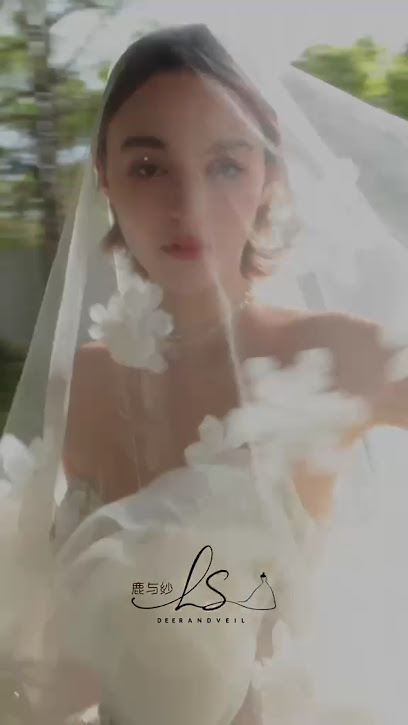 Deer and Veil Wedding Gown, Bridal Shop in Northern