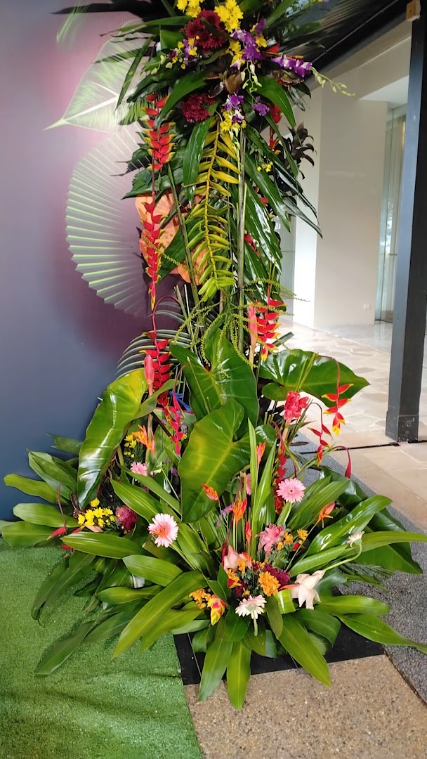 LuXa Events Decor gallery photo