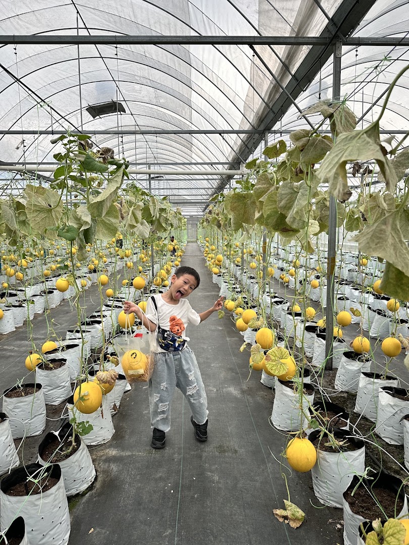 MyMelon Sabah gallery photo