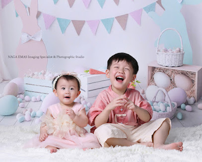 Naga Emas Pusat Foto Berwarna 金龍照相馆 Naga Emas Photo Studio, Wedding Photographer in Northern