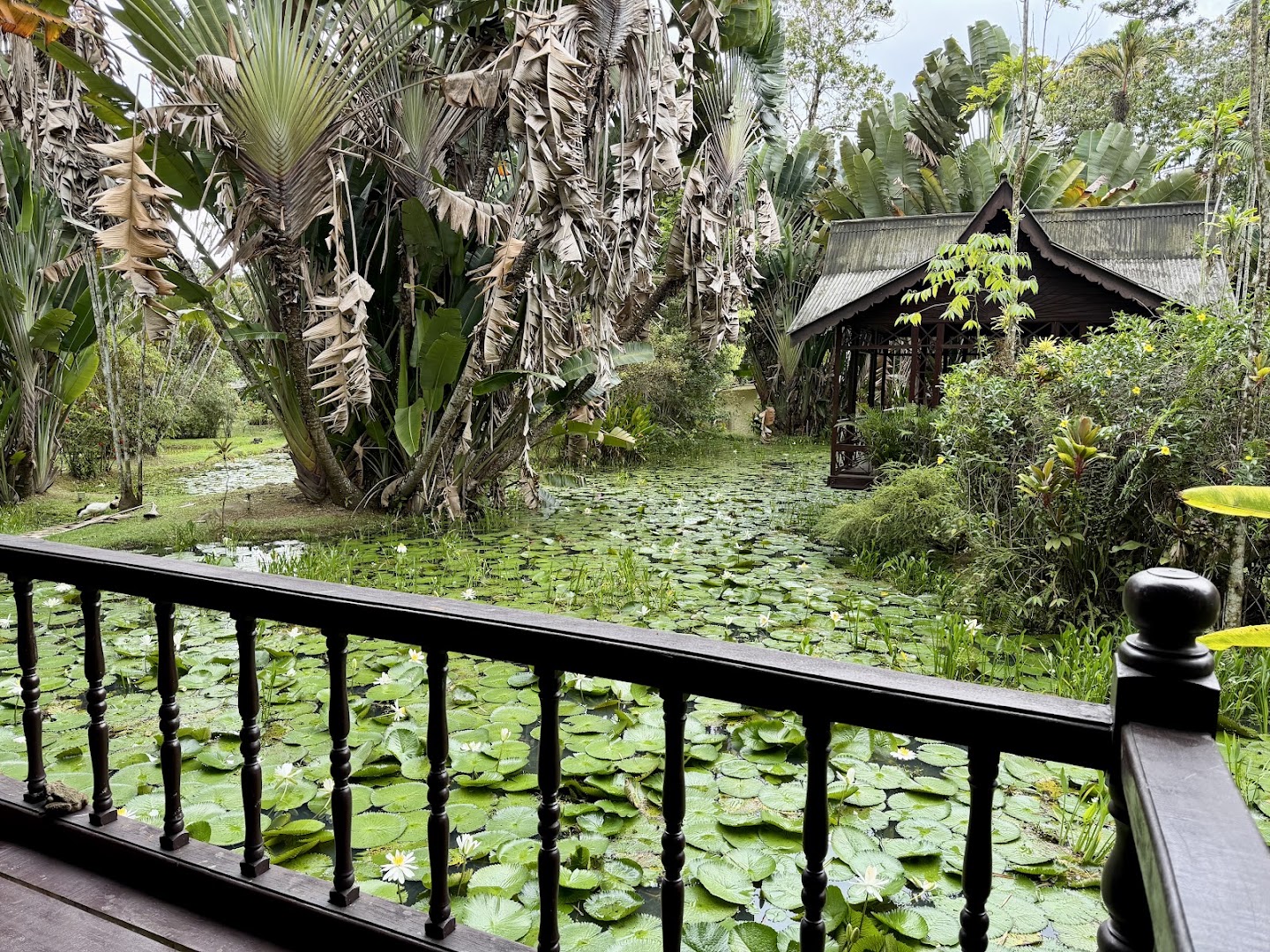 Sentosa Janda Baik gallery photo
