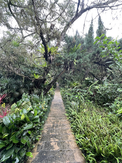 Sentosa Janda Baik, Wedding Venue in Bentong