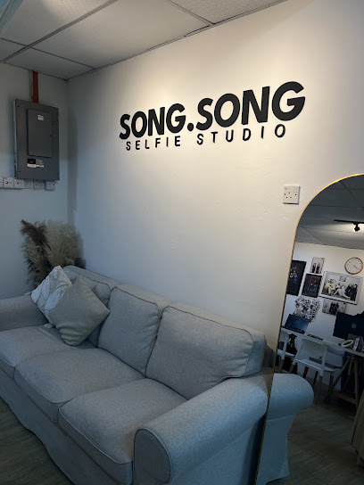 Song.Song Selfie Studio, Wedding Photographer in Sungai Petani