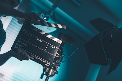 Tickle U Video Production, Wedding Videographer in Penang