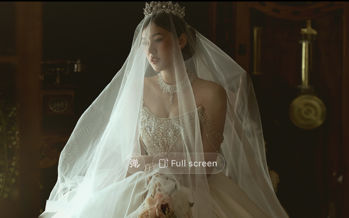 Winter December Bridal gallery photo